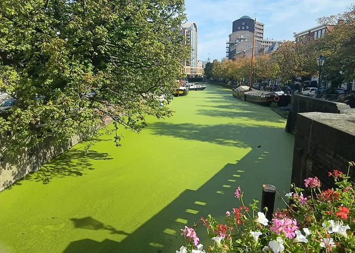 Downtown Apartment Den Haag