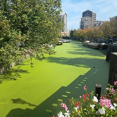 Downtown Апартаменты Гаага